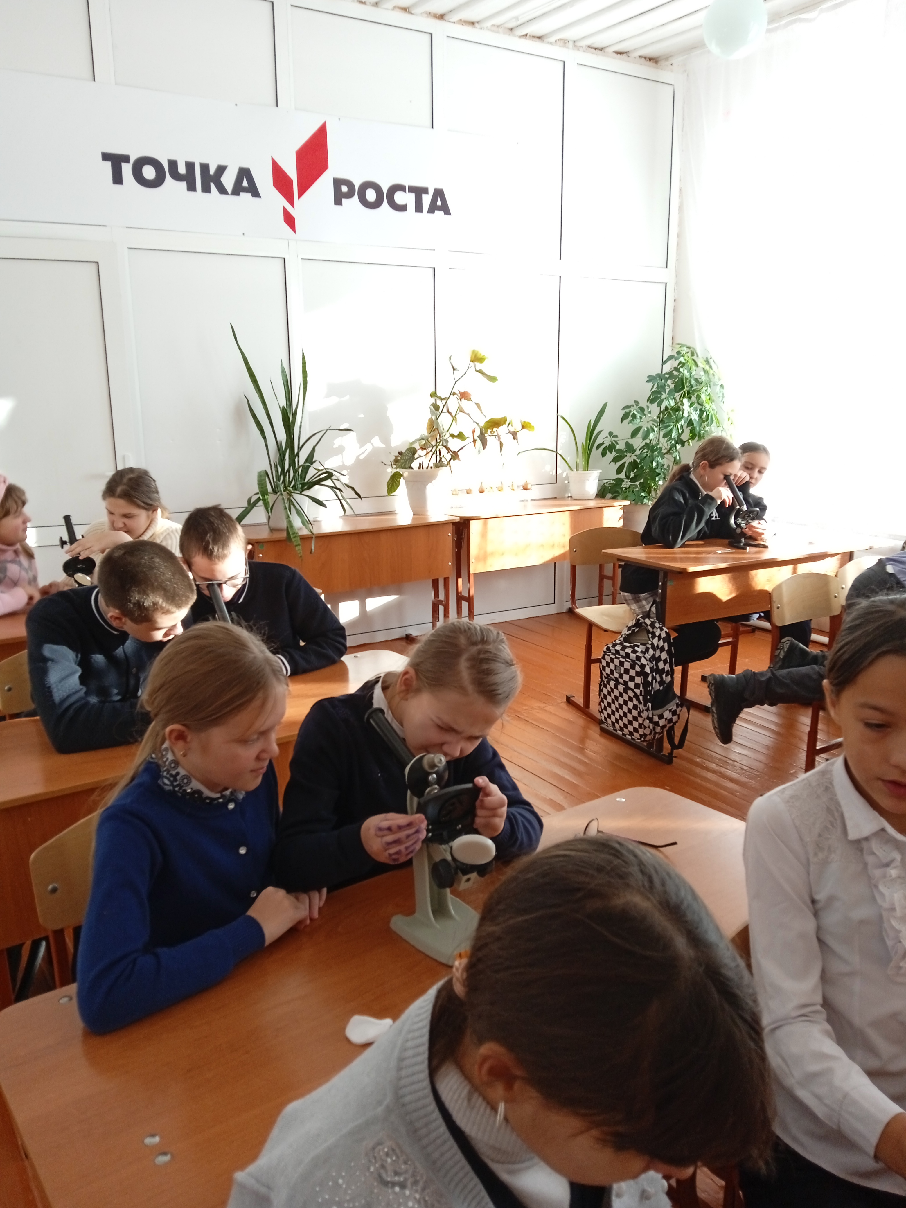 Увеличительные приборы для исследований.